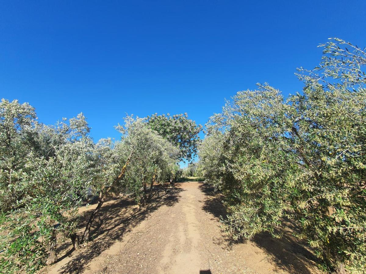 Villaluna Marchena エクステリア 写真