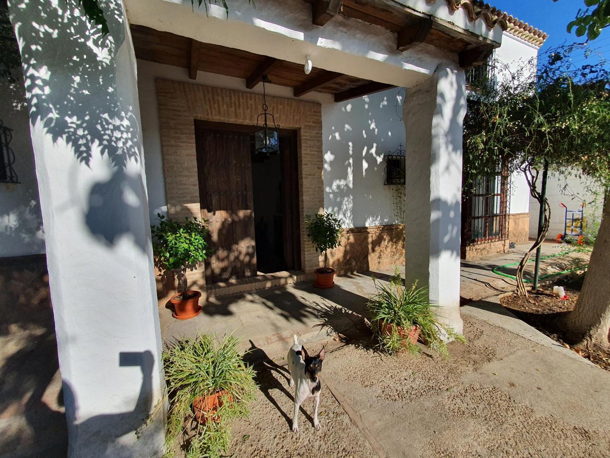 Villaluna Marchena エクステリア 写真