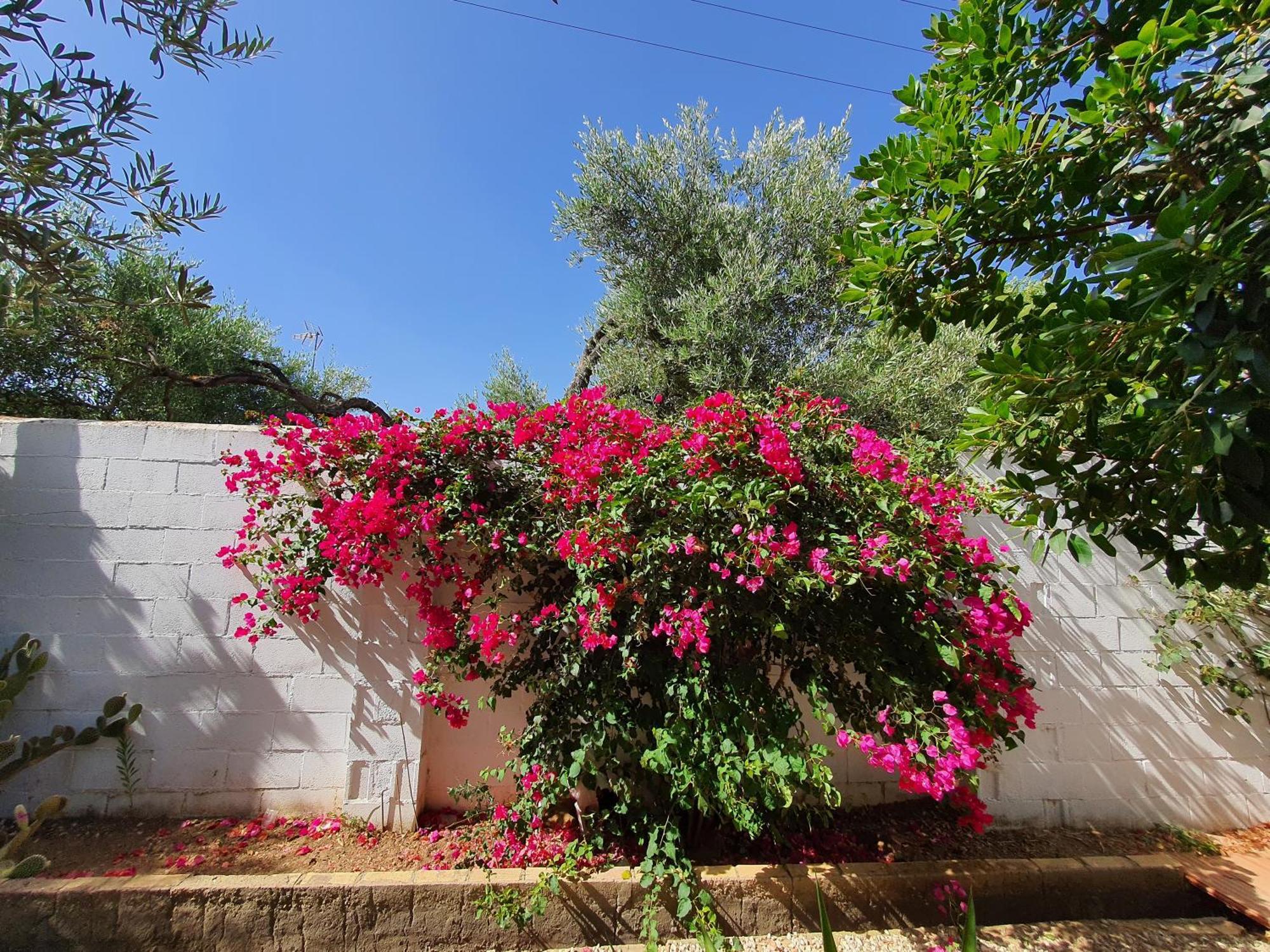 Villaluna Marchena エクステリア 写真